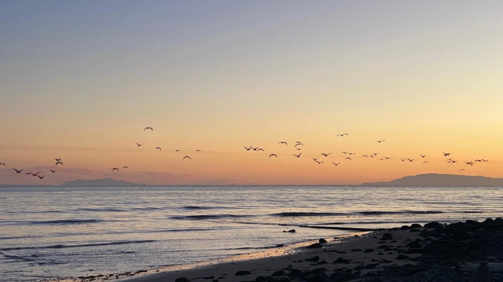 Sunset over the ocean with a flock of birds and islands on the horizon